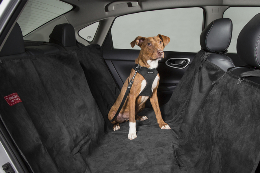 Consejo para el traslado de mascotas en los vehículos