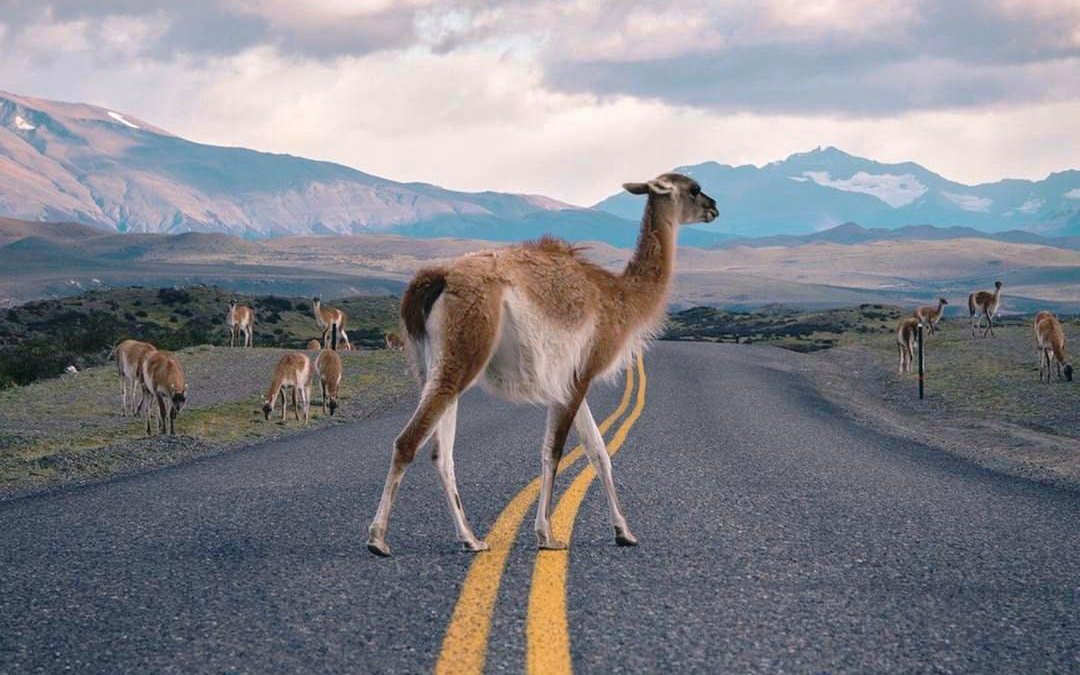 Chubut diseña un Operativo para la Temporada Invernal