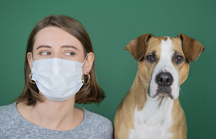 Qué hacer con las mascotas en las salidas eventuales de la cuarentena y en el auto