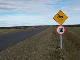 No respetar las normas en las rutas es costumbre en 3 de cada 10 conductores, dice una encuesta de CECAITRA